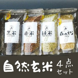 【ふるさと納税】自然玄米4点セット　【玄米・お米】