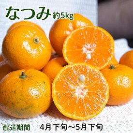 【ふるさと納税】なつみ（カラマンダリン）約5kg 果物類 柑橘類 みかん フルーツ 　お届け：2026年4月下旬～5月下旬