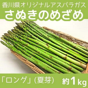 yӂ邳Ɣ[Łz쌧IWiAXpKXuʂ̂߂߃Ov(ĉ)  ؃Zbg @͂F2025N6{`10{