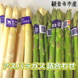 【ふるさと納税】観音寺市産アスパラガス詰合せ　【アスパラガス・野菜】　お届け：2024年3月上旬～9月中旬