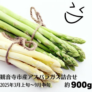 yӂ邳Ɣ[ŁzωsYAXpKXl 900g  @͂F2025N3{`9{