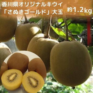 yӂ邳Ɣ[Łz쌧IWiLECuʂS[hvʖ1.2kg@ʎ Â ]  W[V[ t[c ʕl @͂F2025N10{`12{