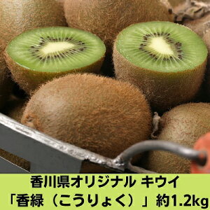 yӂ邳Ɣ[Łz쌧IWiLECu΁i傭jv1.2kg ʕl t[c @͂F2025N11{`2026N1{
