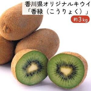 yӂ邳Ɣ[Łz쌧IWiLECu΁i傭jv3kg ʎ LEB Â ] t[c ʕl @͂F2025N11{`2026N1{
