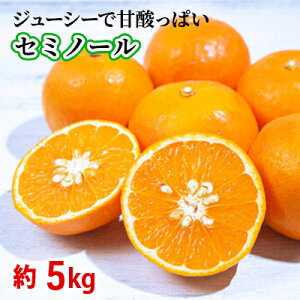 �y�ӂ邳�Ɣ[�Łz2026�N��s�\�� �Z�~�m�[���@��5kg �ʕ��� ���k�� �t���[�c �I�����W �݂��� �~�J�� �@���͂��F2026�N4�����{�`5����{