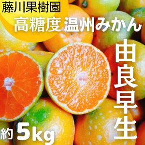 yӂ邳Ɣ[Łz2025H肨͂ xB݂iRǑj5kg ʕ k k ~J t[c  @͂F2025N10{`11{