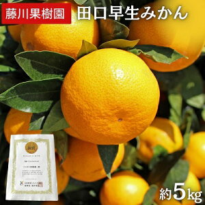 yӂ邳Ɣ[Łz2025NH肨͂ c݂@5kg ʕ k k ~J t[c   @͂F2025N11{`11{