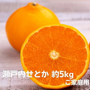 yӂ邳Ɣ[Łz2026Ns\ ʌ ˓Ƃ 5kgyƒpz ݂ t[c ʕ k @͂F2026N2{`3{