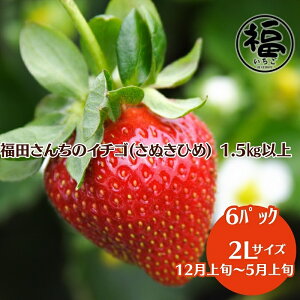 yӂ邳Ɣ[Łzc񂿂̃C`S(ʂЂ) 2LTCY ×6pbN 1.5kgȏyzsFkCAAGAz _ ̂ꂽĒ@͂F2025N12{`2026N5