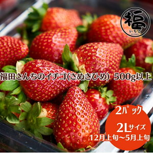 yӂ邳Ɣ[Łzc񂿂̃C`S(ʂЂ) 2LTCY×2pbN 500gȏyzsFkCAꌧAGAz _ ̂ꂽĒ@͂F2025N12{`2026N5