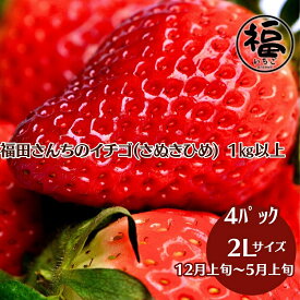 【ふるさと納税】福田さんちのイチゴ(さぬきひめ) 2Lサイズ×4パック 1kg以上【配送不可：北海道、沖縄県、離島エリア】苺 農園直送 いちご採れたて直送　お届け：2025年12月上旬～2026年5月上旬収穫次第順次発送いたします。