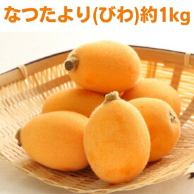 【ふるさと納税】なつたより（びわ）約1kg さぬき産フルーツ 果物類 枇杷 　お届け：2026年5月下旬～6月下旬