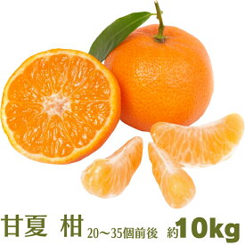 【ふるさと納税】甘夏 柑 約10kg 果物類 柑橘類 フルーツ みかん 　お届け：2026年4月上旬～5月上旬