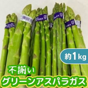 yӂ邳Ɣ[Łzs O[ AXpKX 1kg  O[AXpKX @͂F2025N6{`10{