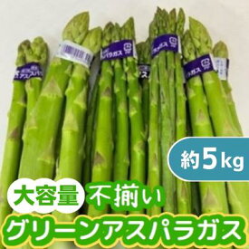 【ふるさと納税】不揃い グリーン アスパラガス 約5kg　【アスパラガス・野菜・グリーンアスパラガス・約5kg・不揃い】　お届け：2024年6月上旬～10月上旬