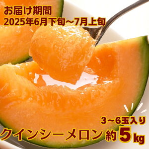 yӂ邳Ɣ[ŁzNCV[ iԓj5kg ʕ t[c ԓ @͂F2026N6{`7{