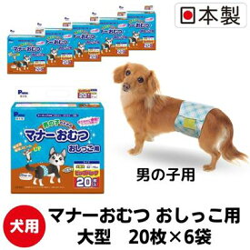 【ふるさと納税】マナー おむつ おしっこ用 大型犬 20枚×6袋 ※配送不可：離島　【 雑貨 日用品 ペット用品 防災 防災グッズ 】