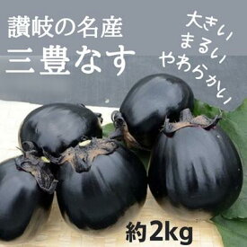 【ふるさと納税】讃岐の名産 三豊なす 約2kg　【野菜・ナス・茄子・なす・約2kg・野菜セット】　お届け：2024年7月下旬～10月上旬