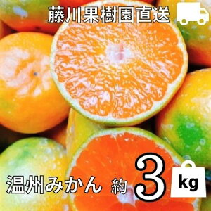 yӂ邳Ɣ[Łz2025NH肨͂ _ tWJʎ͔| B݂ 3kg ʕ k ~J t[c @͂F2025N10{`12{