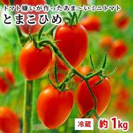 【ふるさと納税】トマト嫌いが作ったあま～いミニトマト『とまこひめ』約1kg 冷蔵便配送　【野菜・ミニトマト・トマト・野菜セット・約1kg】　お届け：2024年4月下旬～8月上旬