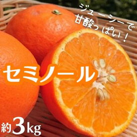 【ふるさと納税】セミノール　約3kg　【果物類・柑橘類・フルーツ】　お届け：2025年4月中旬～5月上旬