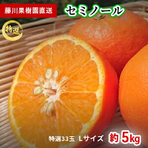 �y�ӂ邳�Ɣ[�Łz2026�N��s�\�� �Z�~�m�[�� ���I33�� L�T�C�Y ��5kg �ʕ��� ���k�� �t���[�c �݂��� �~�J�� �@���͂��F2026�N4�����{�`5����{