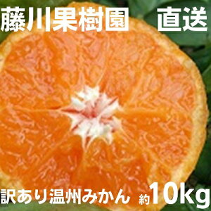 yӂ邳Ɣ[Łz2025NH肨͂ 󂠂IIB݂ 10kg ʕ k t[c @͂F2025N9{`12{