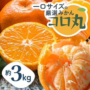 yӂ邳Ɣ[Łz2025NH肨͂ ˓@݂IRہ@3kg ʕ k t[c @͂F2025N10{`12{
