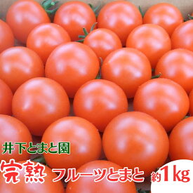 【ふるさと納税】井下とまと園の完熟フルーツトマト 約1kg　【果物類・フルーツ・野菜・トマト・フルーツトマト ・約1kg】　お届け：2023年12月中旬～2024年6月下旬