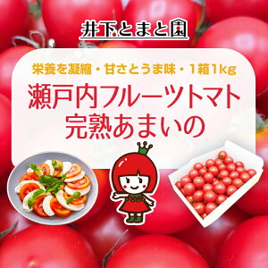 �y�ӂ邳�Ɣ[�Łz�䉺�Ƃ܂Ɖ��̊��n �t���[�c�g�}�g ��1kg �ʕ��� ��� �@���͂��F2025�N12�����{�`2026�N6�����{