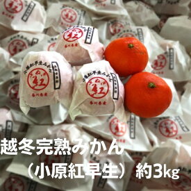 【ふるさと納税】越冬完熟みかん（小原紅早生）約3kg 果物類 柑橘類 フルーツ ミカン 早生みかん 　お届け：2026年1月中旬～2月上旬
