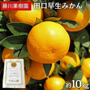 yӂ邳Ɣ[Łz2025NH肨͂@c݂@10kg 쌧Y t[c ʕ k @͂F2025N11{`11{