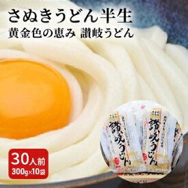 【ふるさと納税】「さぬきうどん半生」 黄金色の恵み 讃岐うどん 30人前 300g×10袋 麺類 　お届け：ご寄附（入金）確認後、2週間で順次出荷いたします。