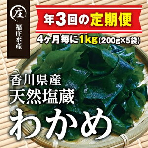 yӂ邳Ɣ[Łzy/N3zII쌧YVRʂ킩߁i200g×5܁j1kg C ~l CY C̍K AW H H [  @͂FX^[g4Ƃ