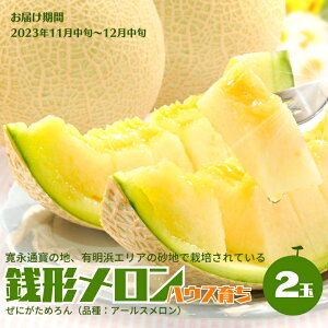 yӂ邳Ɣ[ŁziK`j2ʓ ʕ  t[c 炿 A[X  fU[g H Y 쌧Y ωsY @͂F2025N11{`12{