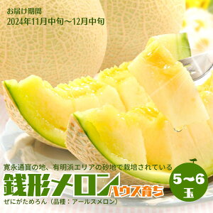 yӂ邳Ɣ[ŁziK`j5`6ʓ ʕ  t[c 炿 A[X  fU[g H Y 쌧Y ωsY @͂F2025N11{`12