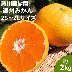 yӂ邳Ɣ[Łz2025NH肨͂ tWJB݂ 2kg ʕ k t[c  ԐH fU[g H ɑ  Â HׂTCY ~ H @͂F2025N9{`12{
