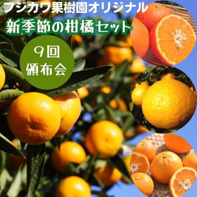【9回頒布会】フジカワ果樹園オリジナル・新季節の柑橘セット 【定期便・ 定期便 食べ比べ 】 お届け：ご寄附（入金）頂いた月の次月回より配送開始となります