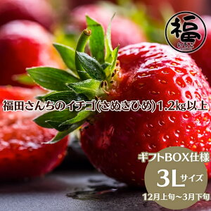 yӂ邳Ɣ[Łzc񂿂̃C`S(ʂЂ) 3LTCY 1.2kgȏ Mtg{bNX3yzsFkCAAGAz _ ̂ꂽ @͂F2025N12{`