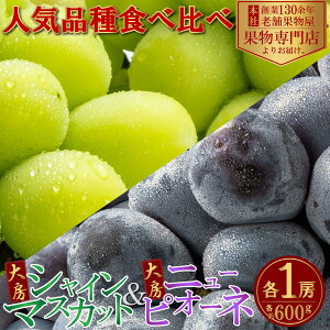 yӂ邳Ɣ[Łzy2026N8{菇z[VC}XJbg[j[sI[l@e1[@ie600gj W[V[ Z ʏ`Ղ fU[g H Y {Y ωY H