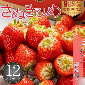 yӂ邳Ɣ[ŁzGiIʂЂ߁@12pbN ʕ t[c Y {Y  쌧IWii 炩 ʏ`Ղ Ƃꂽ NxQ fU[g @͂F2026N2{`4
