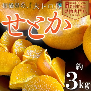 yӂ邳Ɣ[Łzy2026N2{菇zkȆgIƂ@3kg ʕ t[c Y {Y ~̖o ~̉ʕ ~̃t[c IWii ωsY @͂F2026N