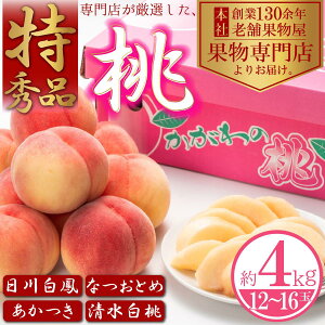 yӂ邳Ɣ[Łzy2026Ns\zGiI@4kgi12`16ʁj ʕ t[c fU[g H Y {Y Yn W[V[ ʏ`Ղ Ẳʕ Ẵt[c @͂F2026N6