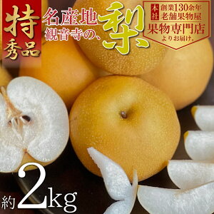 yӂ邳Ɣ[Łzy2026Ns\zGiIω̗iLE쐅j2kg ʕ t[c fU[g  H Y {Y Yn ݂݂ VLVL @͂F2026N8{