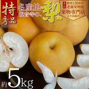 yӂ邳Ɣ[Łzy2026Ns\zGiIω̗iLE쐅j5kg ʕ t[c fU[g  H Y {Y Yn ݂݂ VLVL @͂F2026N8{