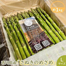 【ふるさと納税】香川県産アスパラガス「さぬきのめざめ」Lサイズ　約1kg 野菜 特産品 27cm前後 瀬戸内海 グリーンアスパラガス 冷蔵配送 　お届け：2026年3月下旬～9月下旬