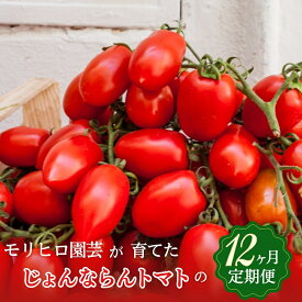 【ふるさと納税】モリヒロ園芸が育てたじょんならんトマトの12ヶ月定期便　【定期便・野菜・ミニトマト】　お届け：ご寄附（入金）確認月の翌月回より12ヶ月間順次配送致します。
