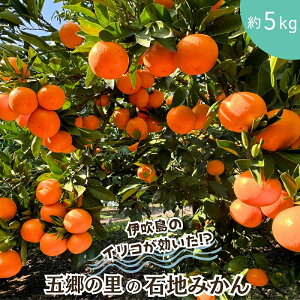 �y�ӂ邳�Ɣ[�Łz�ɐ����̃C���R�ň�Ă�! �܋��̗��̐Βn�݂��� ��5kg���� ���쌧�ω����s�Y �@���͂��F2025�N12�����{�`2026�N1�����{