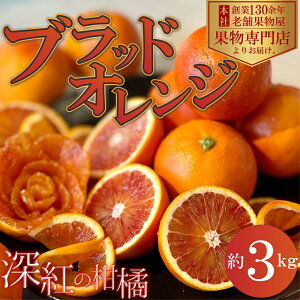 yӂ邳Ɣ[Łzy2026N3{菇z[g̊kuubhIWv@3kg @͂F2026N3{`4{