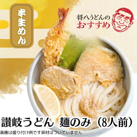 【ふるさと納税】讃岐うどん（半生） 麺のみ 8人前　お届け：ご寄附頂いた日（入金確認日）より約2週間で順次配送いたします。